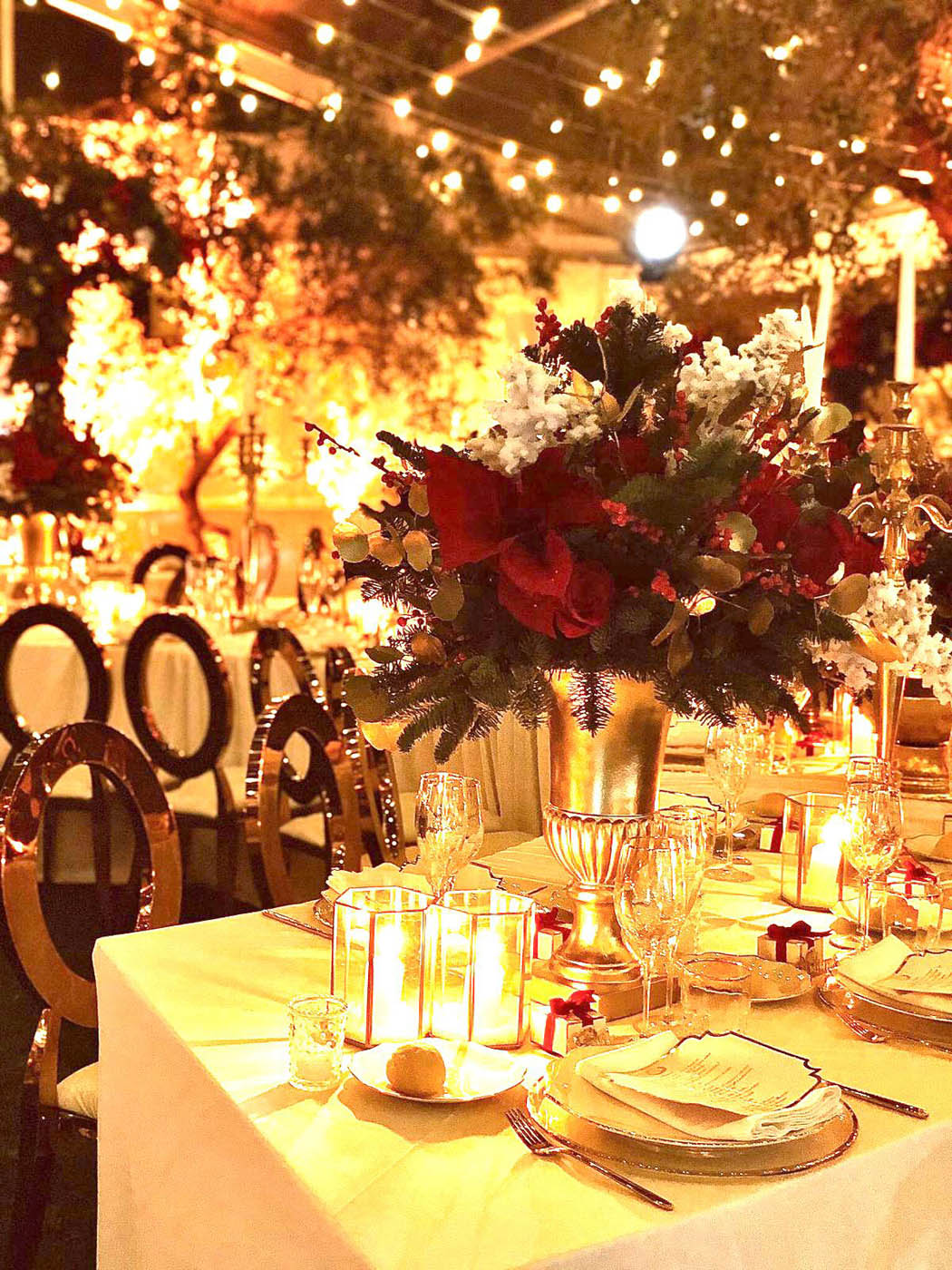 WhatsApp Image 2026-01-27 at 12.32.38 (1)