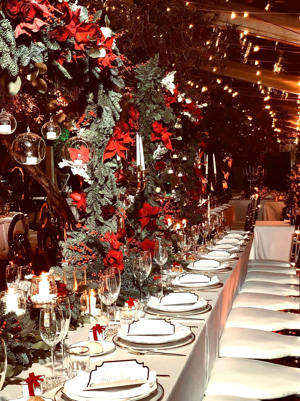 WhatsApp Image 2026-01-27 at 12.32.38 (4)