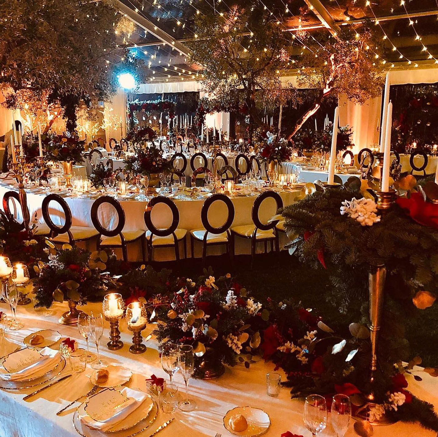 WhatsApp Image 2026-01-27 at 12.32.38