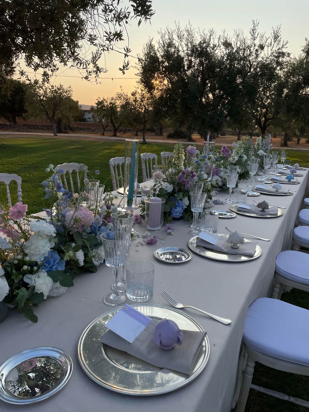 WhatsApp Image 2026-01-27 at 12.32.40 (1)