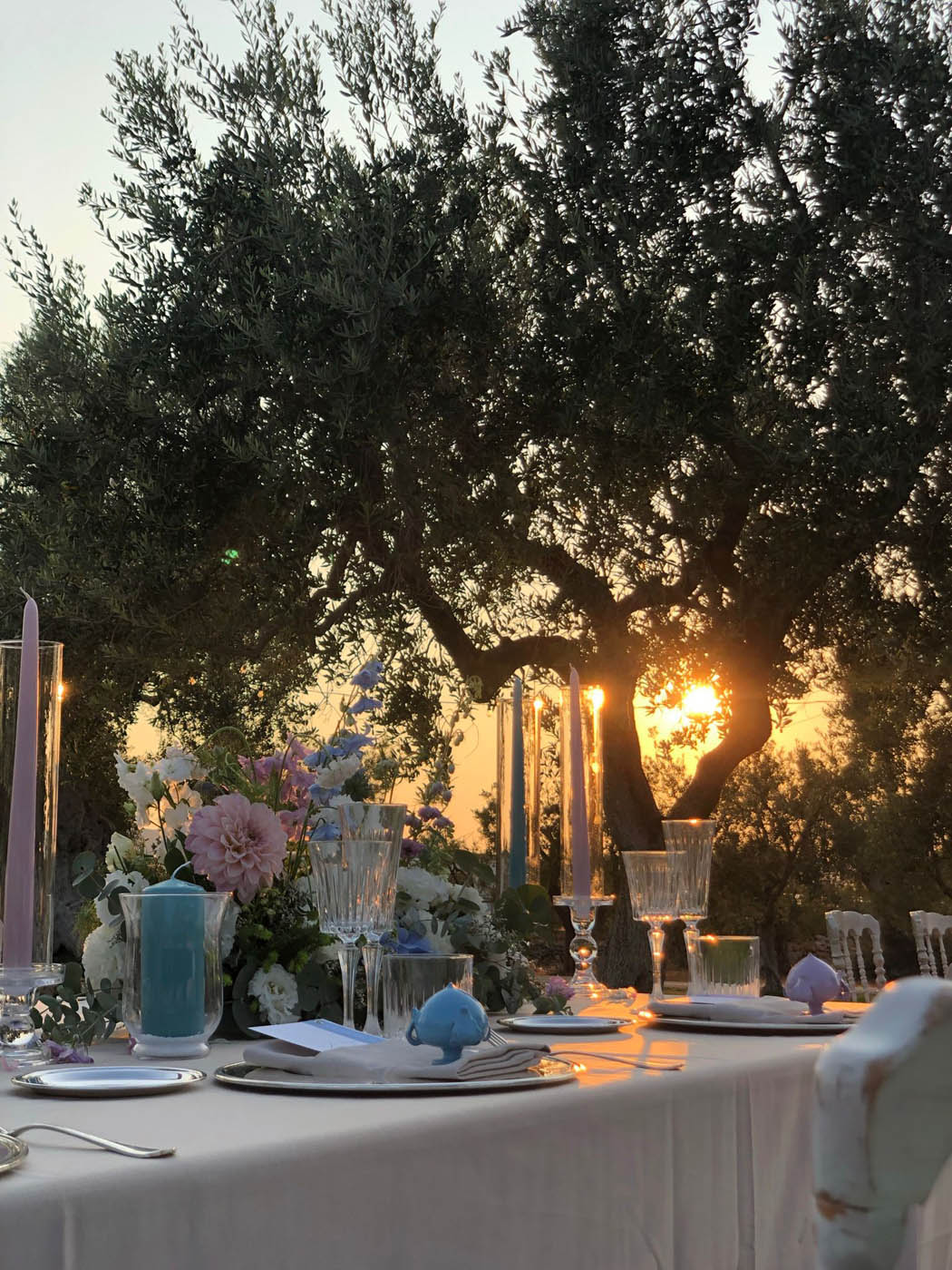 WhatsApp Image 2026-01-27 at 12.32.40 (2)