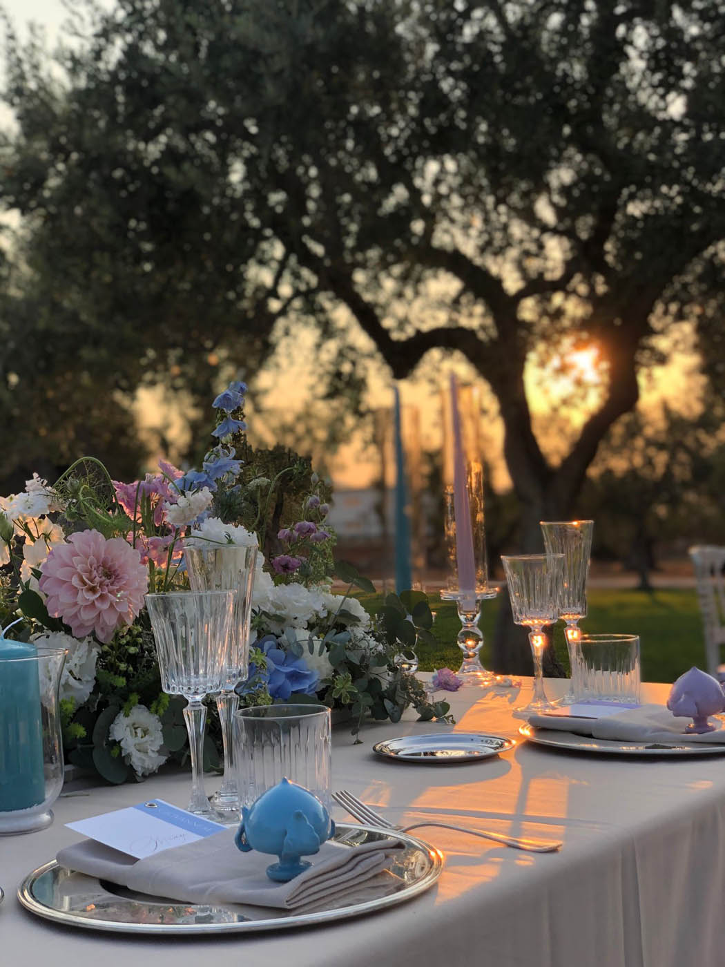 WhatsApp Image 2026-01-27 at 12.32.40