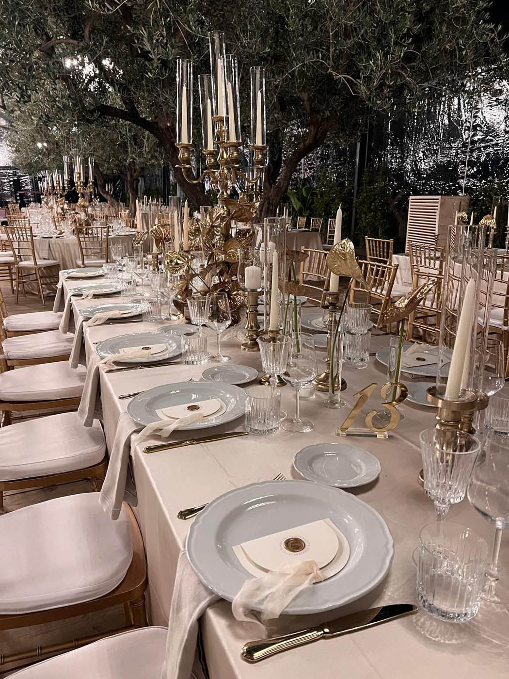 WhatsApp Image 2026-01-27 at 12.44.51 (1)