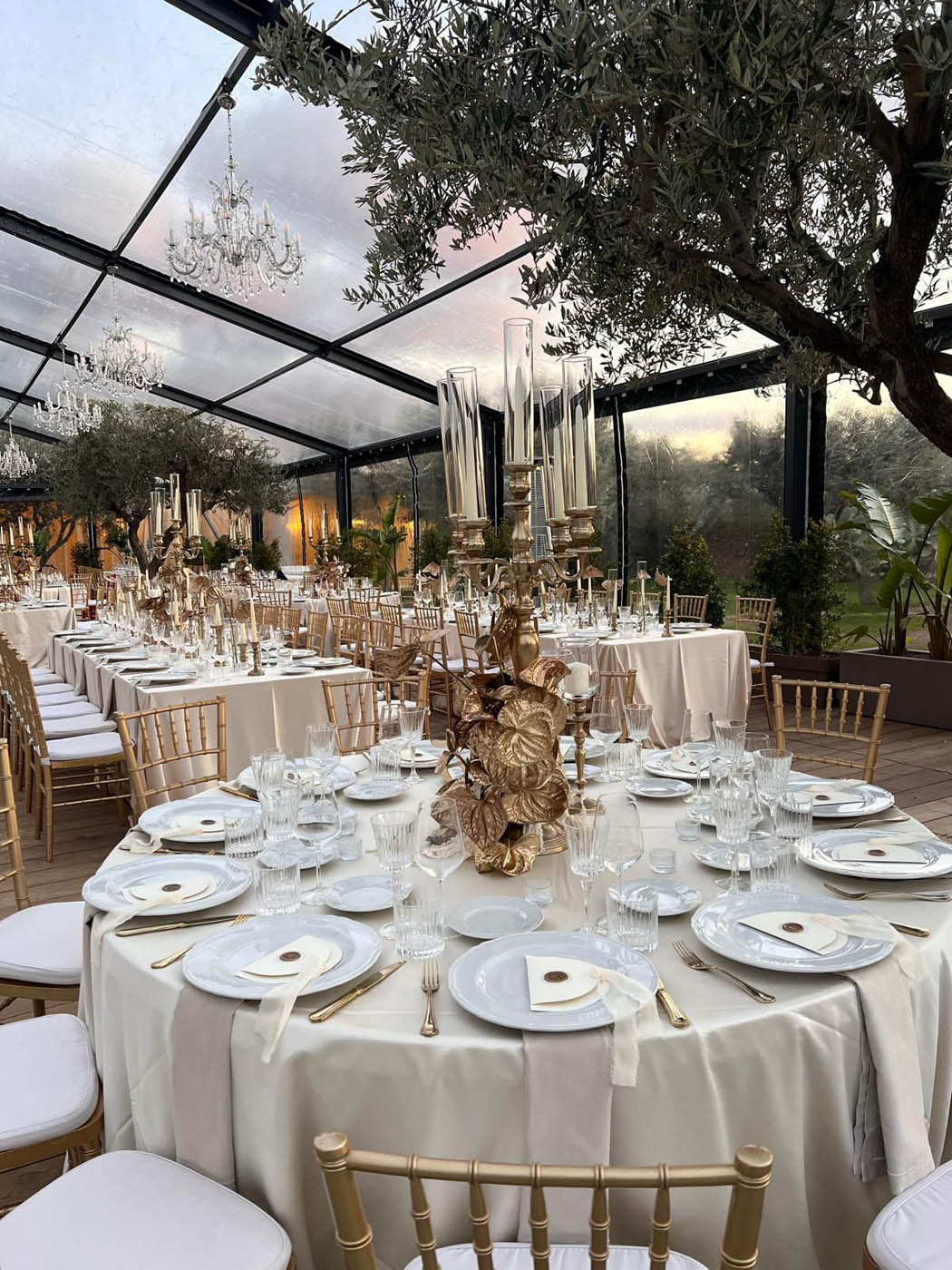 WhatsApp Image 2026-01-27 at 12.44.52 (1)