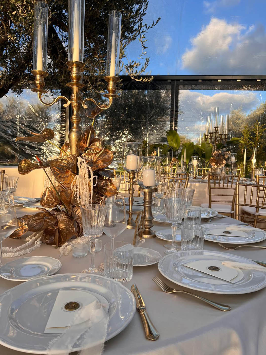 WhatsApp Image 2026-01-27 at 12.44.53 (3)